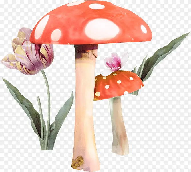重拾童真 蘑菇 花朵