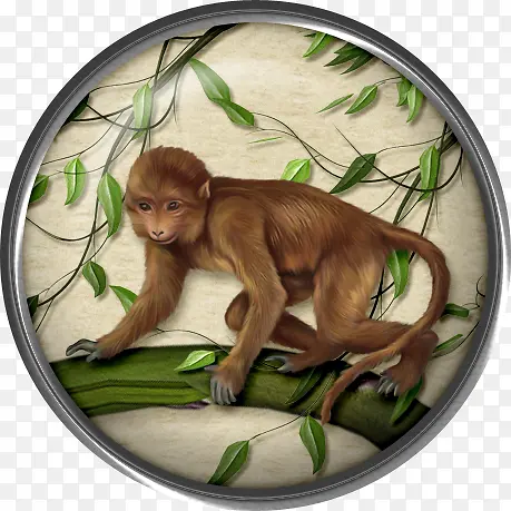 卡通手绘猴子圆盘相框装饰