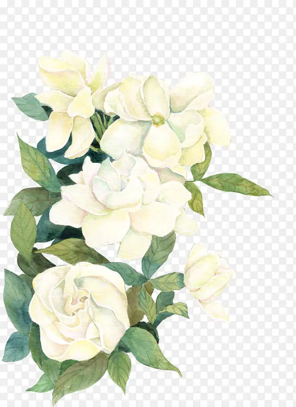 手绘绿叶白色花朵