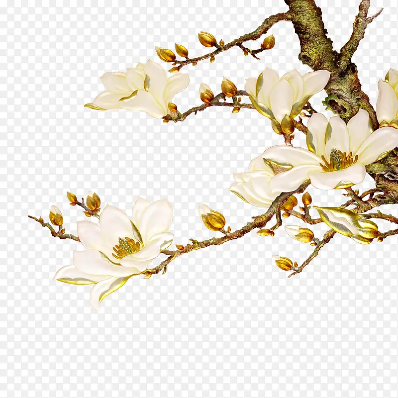 花枝PNG图片素材下载_图片编号10178317-PNG素材网