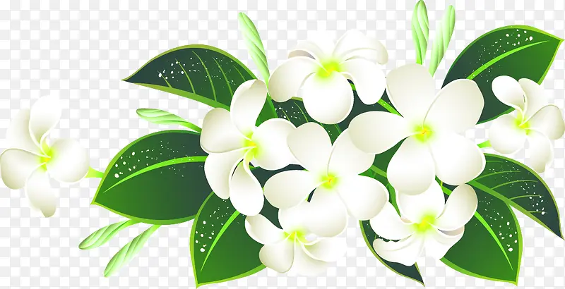 白色清新手绘花朵装饰图案