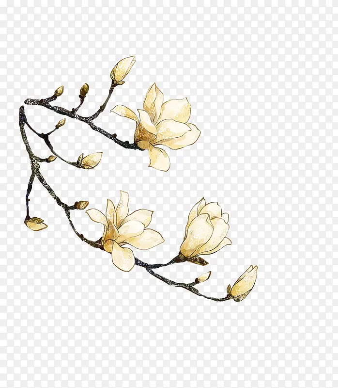 一枝花PNG图片素材下载_图片编号10178331-PNG素材网