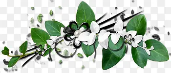 白色花朵树枝绿叶