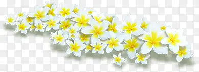 白色梦幻自然花朵