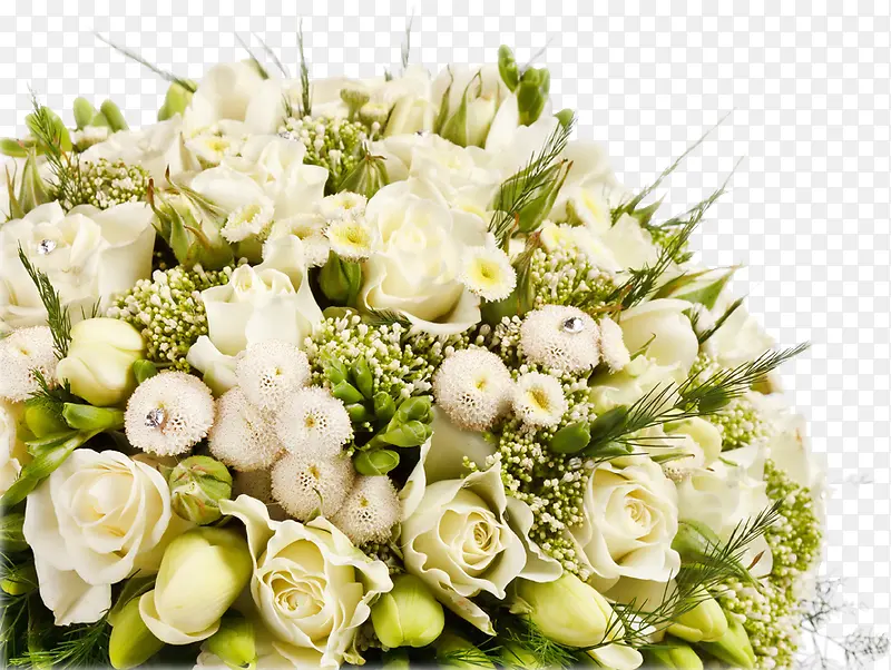 白色玫瑰花朵高清设计