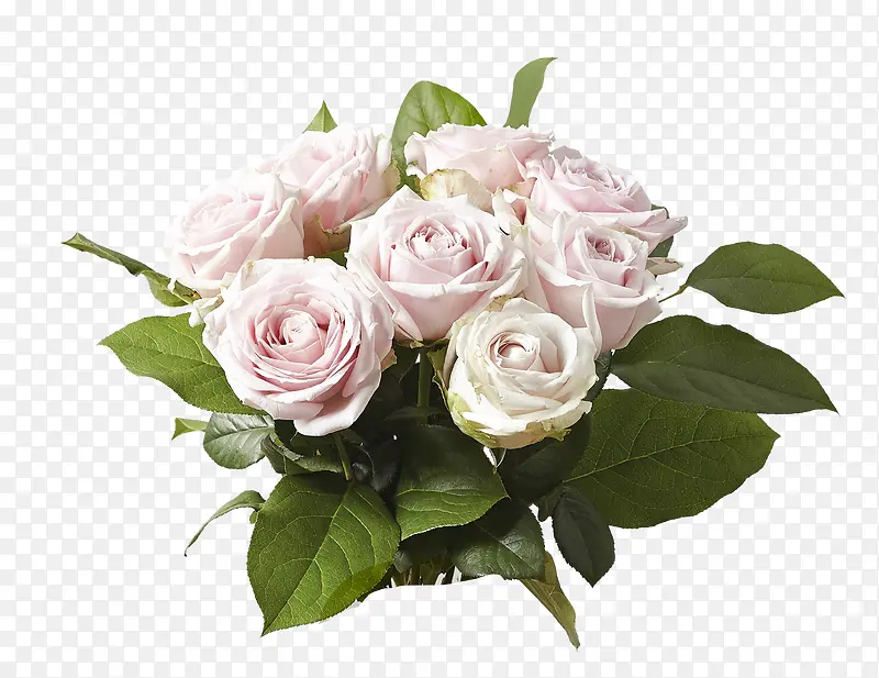 白色玫瑰花朵装饰