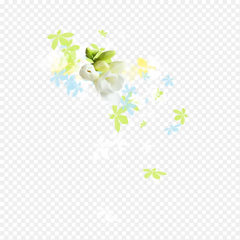白色花朵绿色花朵