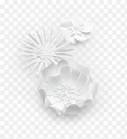 白色创意花朵植物