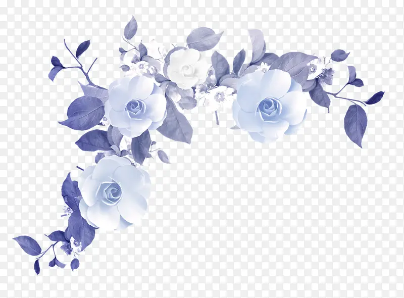蓝色树叶白色花朵装饰