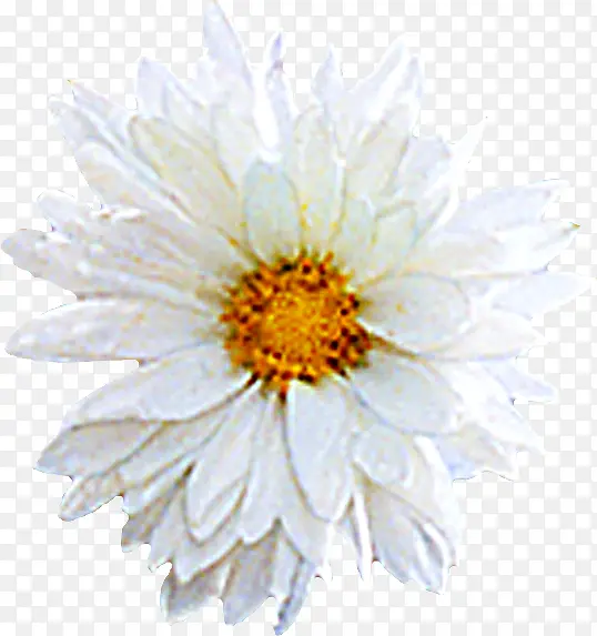 白色多层创意花朵