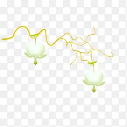 免抠 黄色树枝 白色花朵