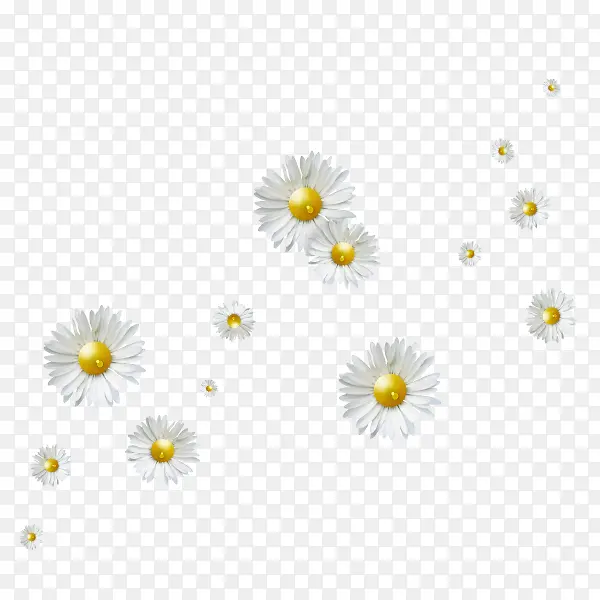 白色花朵漂浮