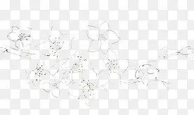 白色手绘花朵美景