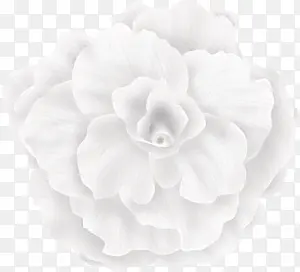 白色 粉色 大花朵png素材