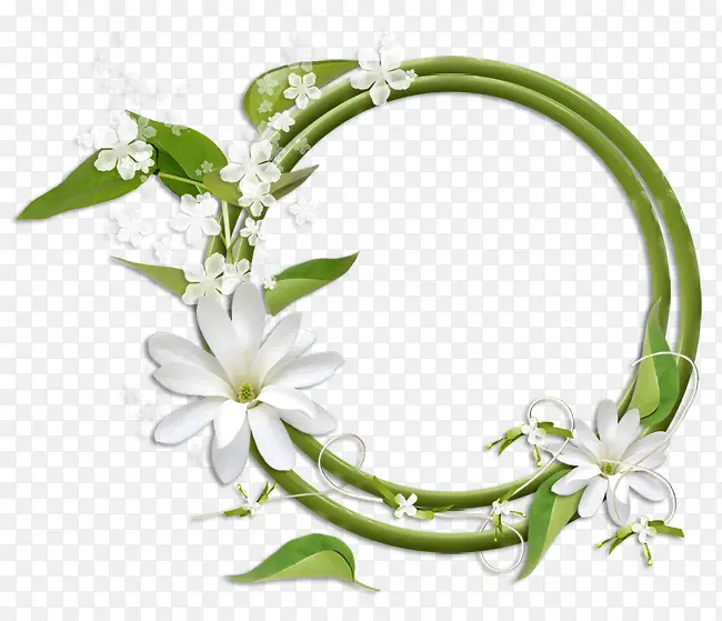 绿叶圆环白色花朵边框