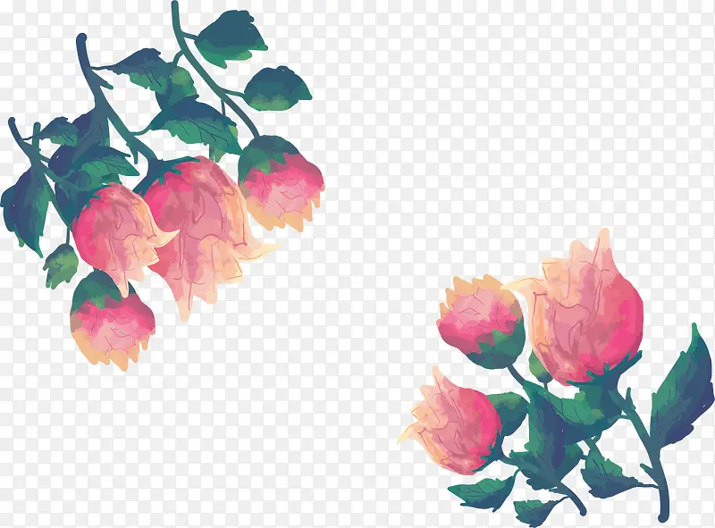 矢量手绘玫瑰花