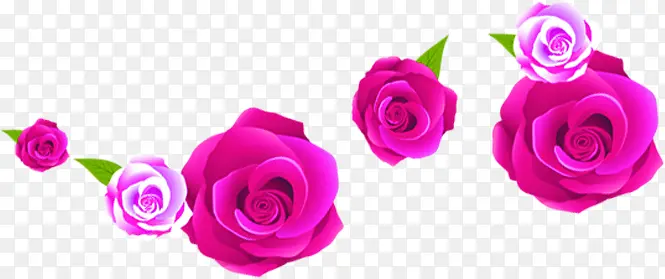 粉色玫瑰花朵装饰