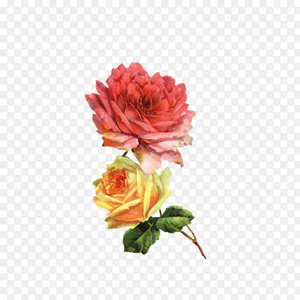 水彩鲜花