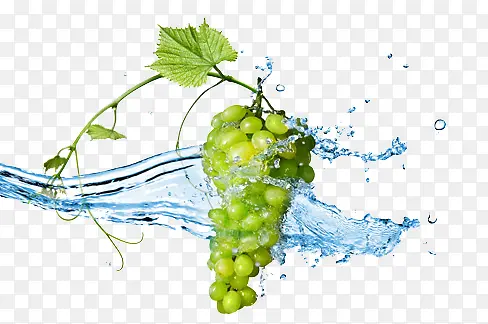 落在水里的绿提葡萄