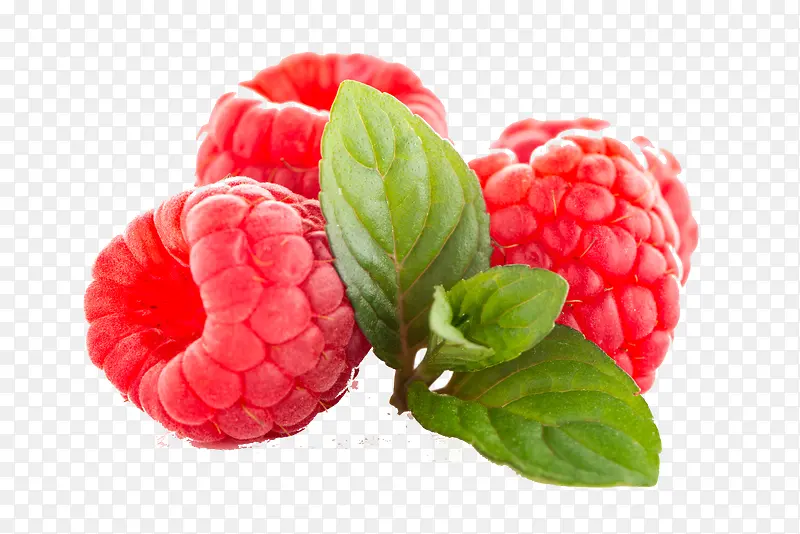 水果树莓
