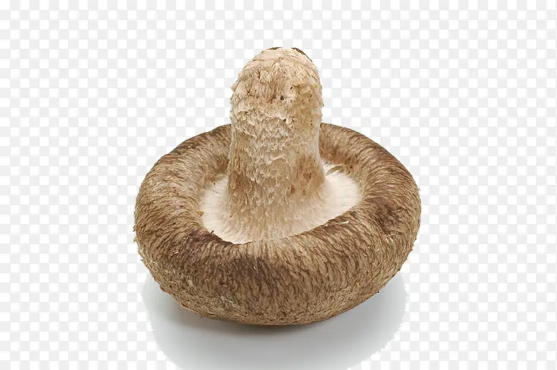 倒立的菌菇