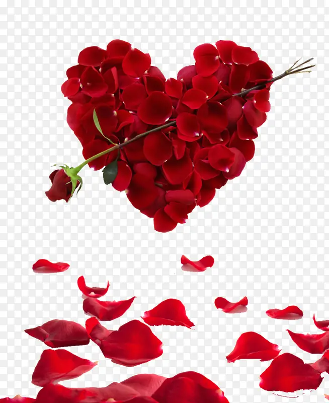 红色心形玫瑰花，玫瑰花瓣装饰