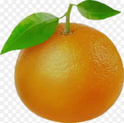 橙色的橘子
