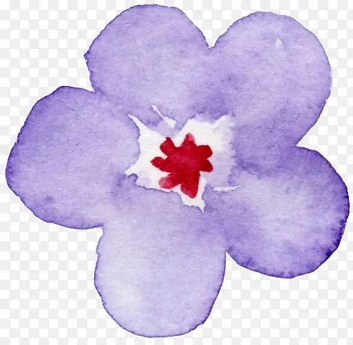 漂浮小花