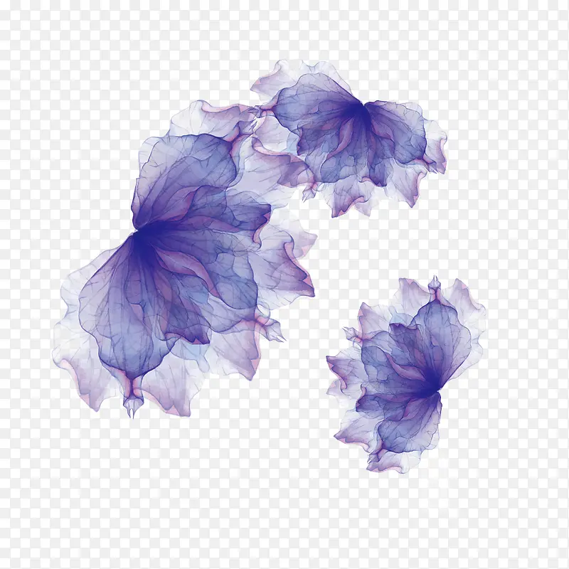 漂浮三朵紫色花