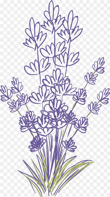 紫色扁平风格卡通薰衣草