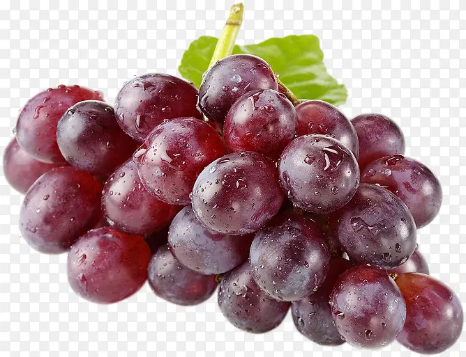 高清紫色挂头水珠的葡萄