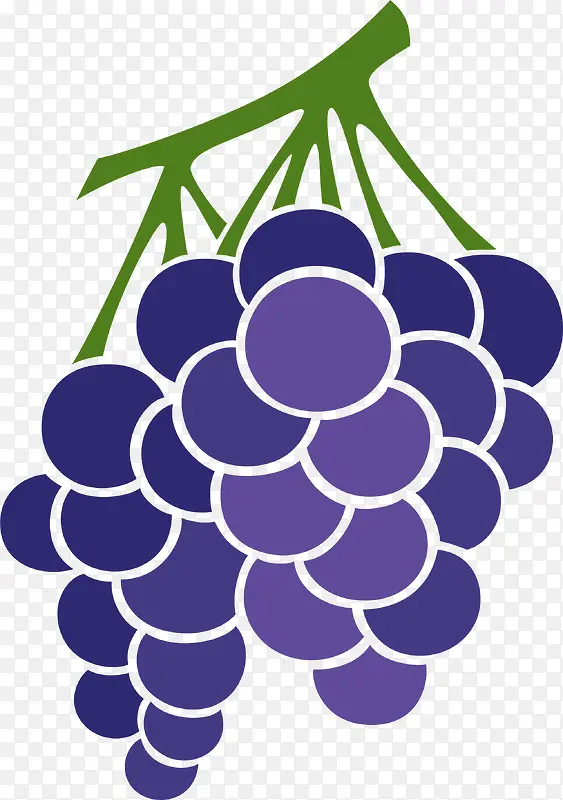 紫色圆圈葡萄