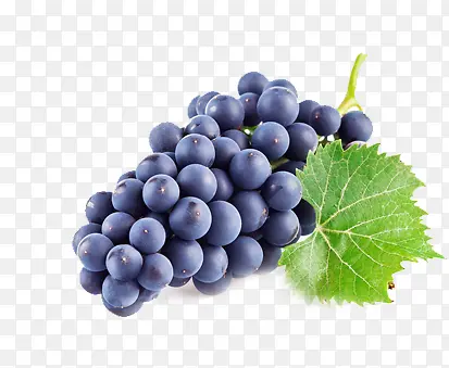 紫色高清新鲜葡萄
