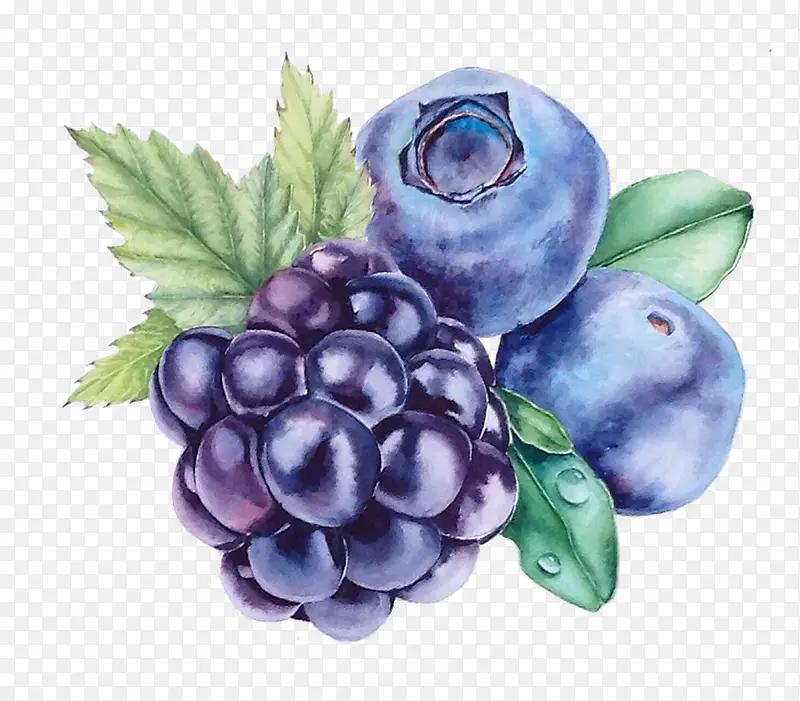 葡萄蓝莓水果