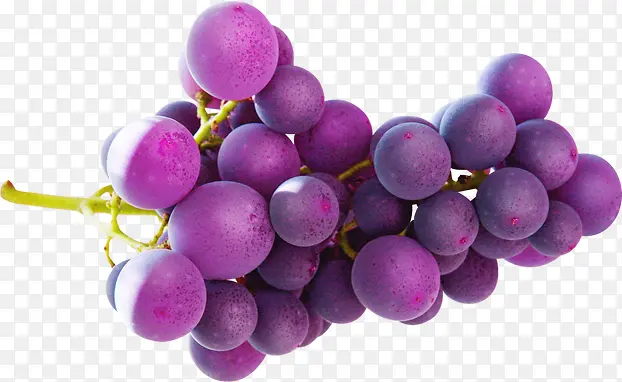 一串紫色葡萄素材