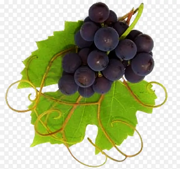 紫色新鲜大葡萄