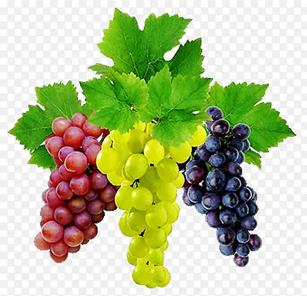 绿色紫色红色葡萄