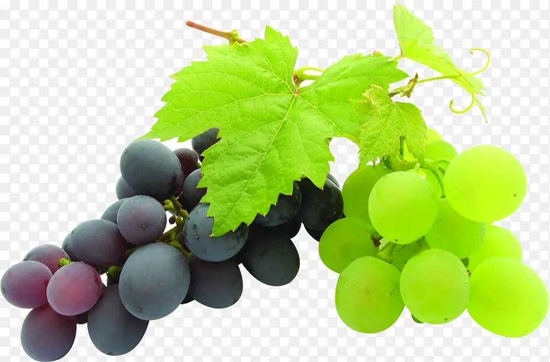 高清紫葡萄和绿葡萄