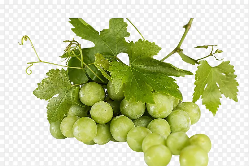 免抠高清绿叶白葡萄