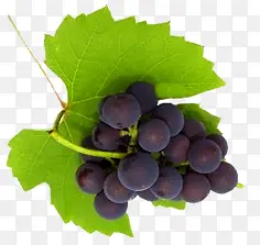 一串葡萄水果装饰