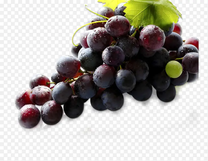 葡萄清新葡萄水果