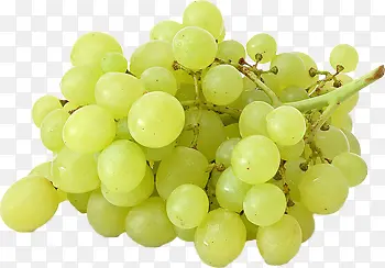 高清摄影水果绿色葡萄