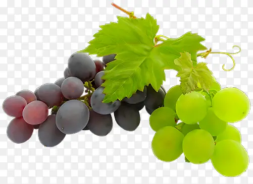 紫葡萄还是绿葡萄