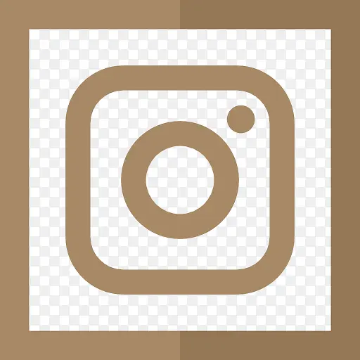 Instagram 图标