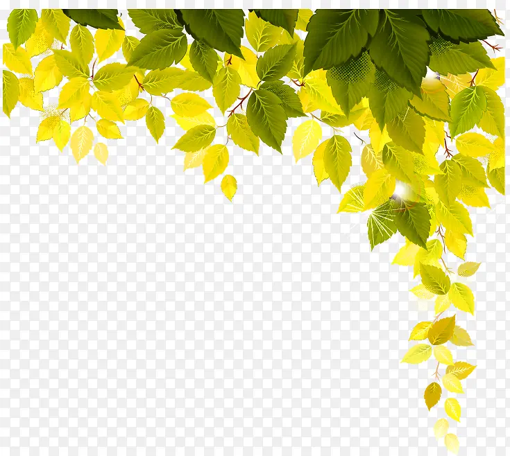 绿色清新树叶装饰边框纹理