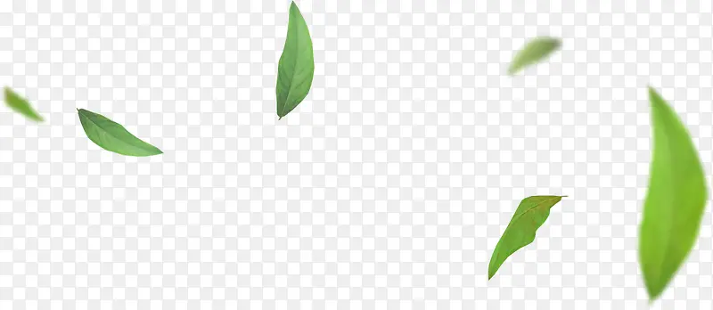 绿色清新漂浮手绘树叶