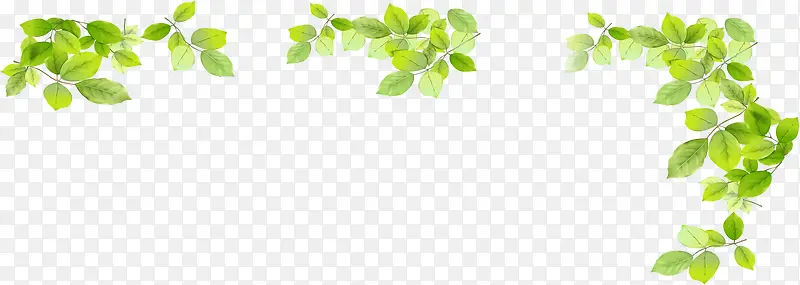 春季清新植物树叶装饰PNG图片素材下载_图片编号10202296-PNG素材网