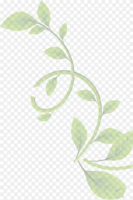 清新淡雅植物树叶PNG图片素材下载_图片编号10202388-PNG素材网