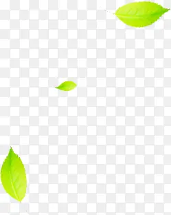 绿色清新植物树叶创意