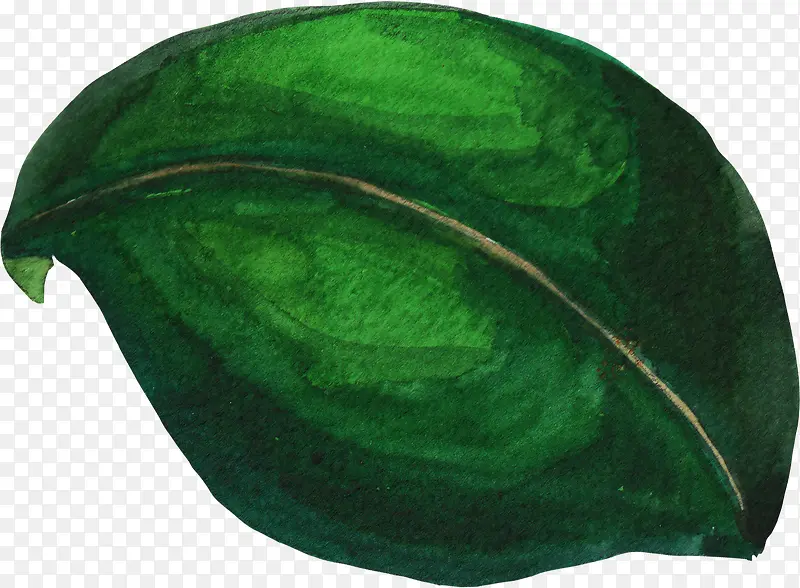手绘清新树叶植物绿色